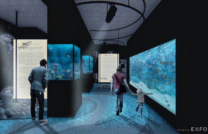 Crna Gora sledeće godina dobija prvi javni akvarijum