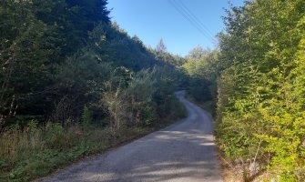 Pošumljavali šumski kompleks Seloštak: Zasađeno 200 sadnica četinara