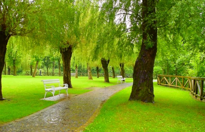 Kiša i pljuskovi praćeni grmljavinim, do 24 stepena