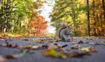 Evo kakvo vrijeme očekujemo za dane vikenda