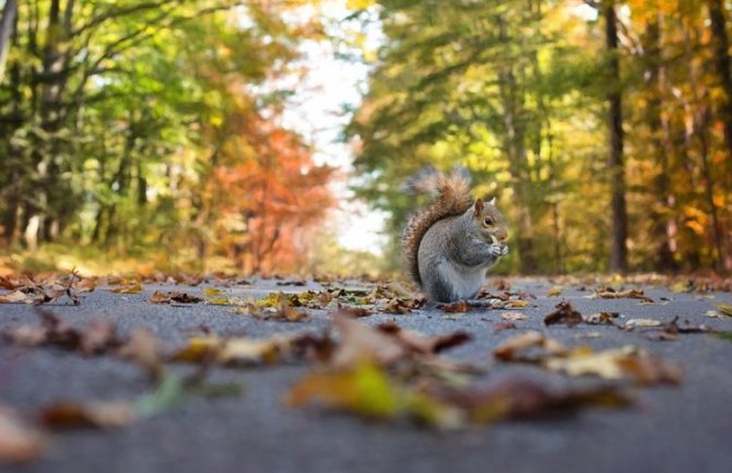 Evo kakvo vrijeme očekujemo za dane vikenda
