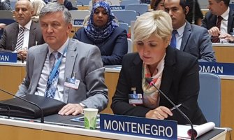 CG u potpunosti svjesna uloge i značaja intelektualne svojine u savremenom društvu