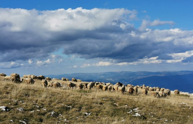 Padavine ponegdje ujutru, popodne razvedravanje