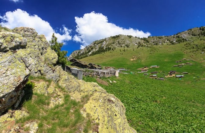 Rano jutros uz jake snage policije porušene nelegalne vikendice državljana Kosova na Hajli