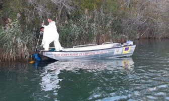 Vlada uputila protest Albaniji povodom  ekološkog akcidenta na Bojani