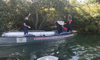 Danas izvađeno više od 100 kesa sa uginulom živinom(FOTO)