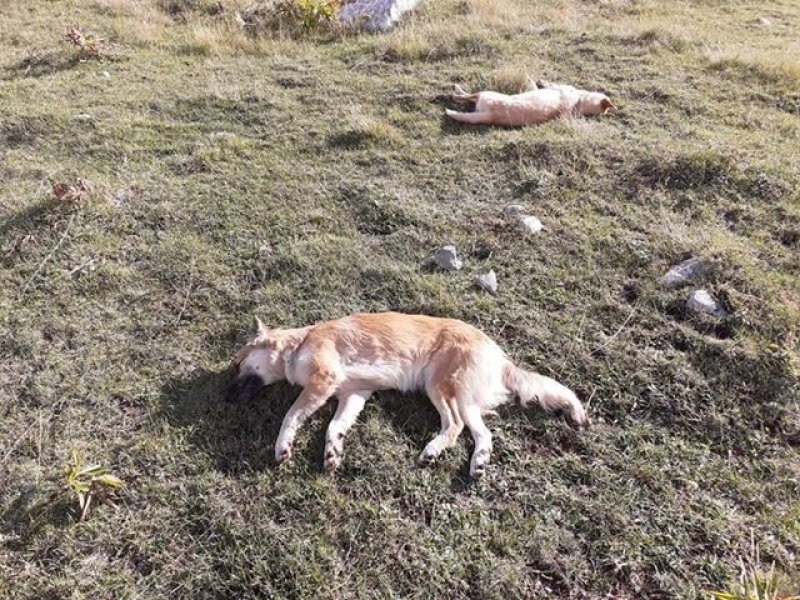 719188864453348727642154066340057915588608n