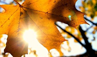 Za vikend nas očekuje pravo Miholjsko ljeto