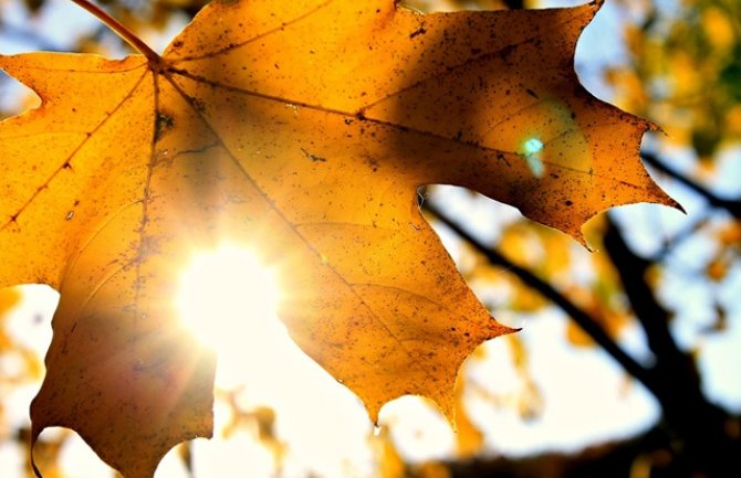 Za vikend nas očekuje pravo Miholjsko ljeto