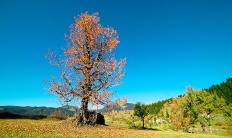 Burić: Na Žabljaku biće oboreni rekordi, krajem mjeseca kiša i zahlađenje