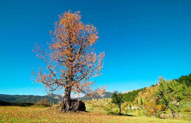 Burić: Na Žabljaku biće oboreni rekordi, krajem mjeseca kiša i zahlađenje