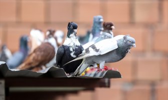 Sunčano i toplo vrijeme za ovo doba godine, krajem dana razvoj oblačnosti