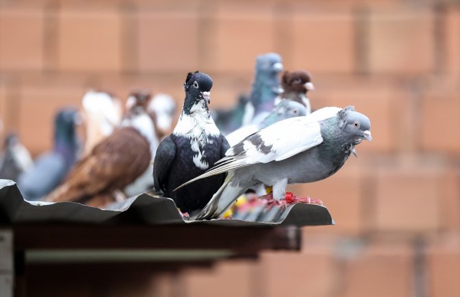 Sunčano i toplo vrijeme za ovo doba godine, krajem dana razvoj oblačnosti