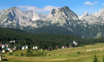 Žabljak: Ubijena vidra (VIDEO)