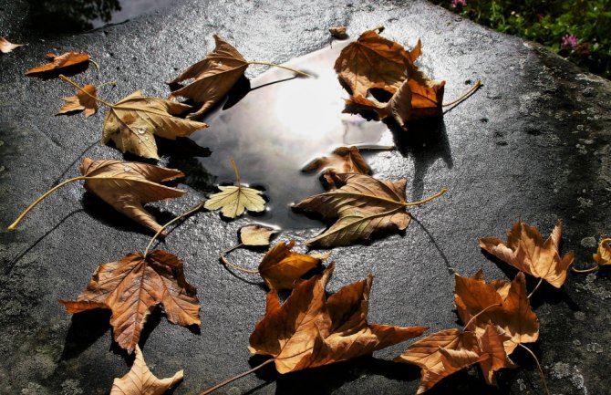 Danas promjenljivo oblačno, mjestimično kiša