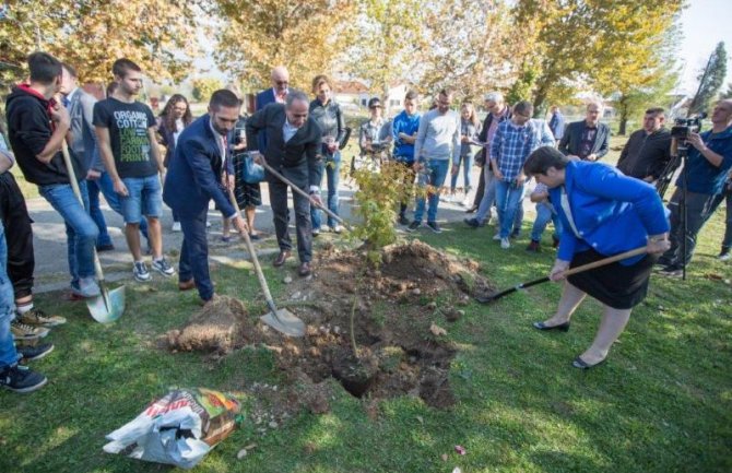 Novo drveće posađeno u danilovgradskoj gimanaziji uz podršku Delegacije EU 