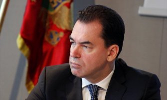 Pažin: Stanković trebao da distancira i prenese ovlašćenja na saradnika