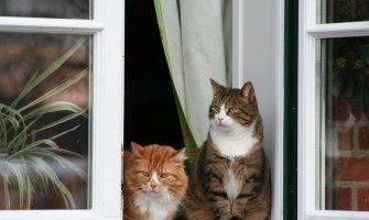 Kiša, pljuskovi i grmljavina, prestanak padavina u nedelju poslijepodne