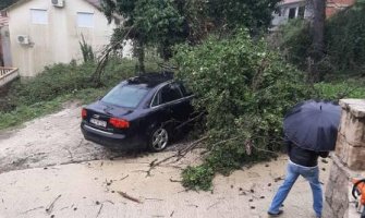 Tivat: Usljed nevremena stablo palo na automobil
