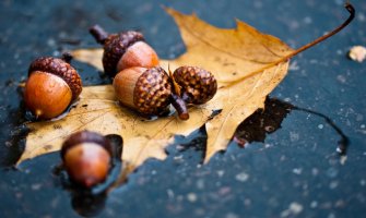 Oblačno, mjestimično kiša