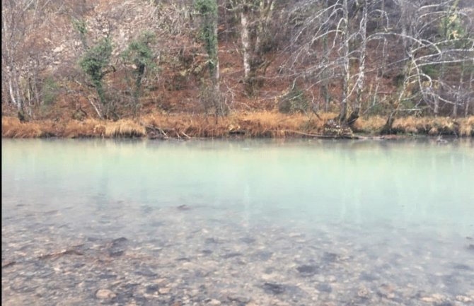Novi ekološki incident na rijeci Ćehotini(FOTO)