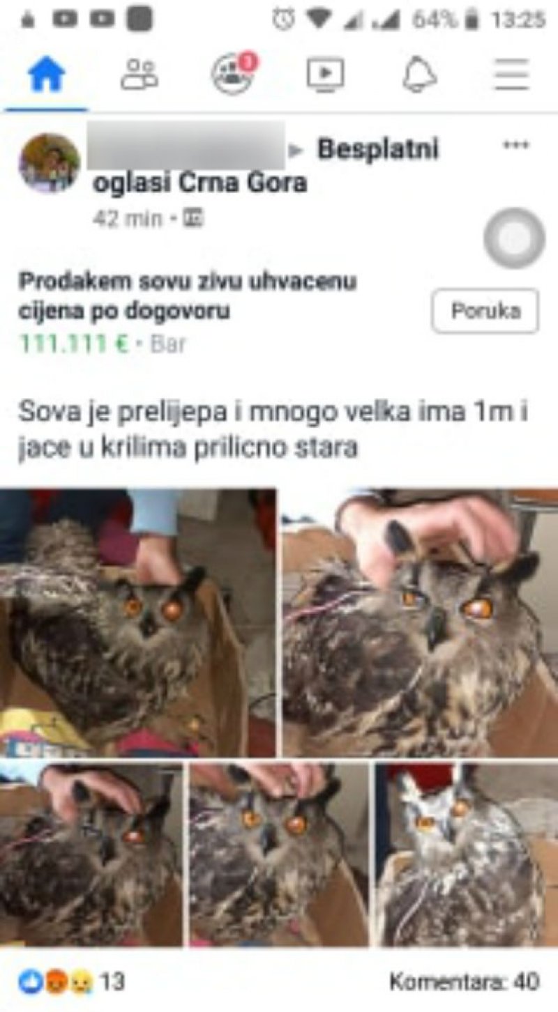 20191123161186d4773afa94f1e0b26c9caca7b89cfc88d682d21e8477843105bfe21e64c1210