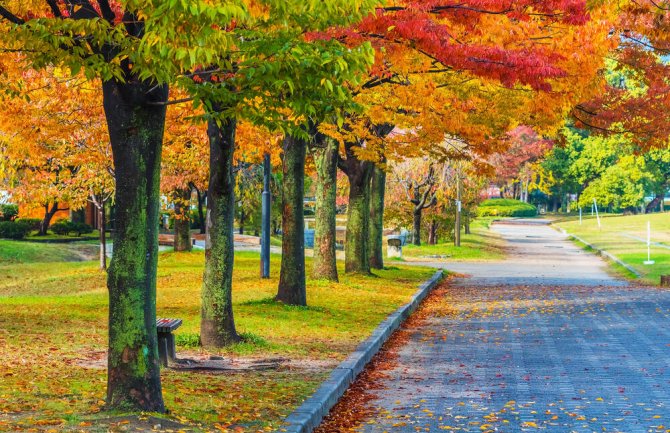 Oblačno, od sredine dana razvedravanje