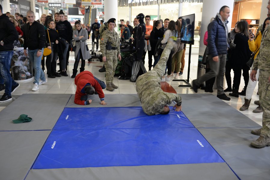 491745616474a65eeb71bo