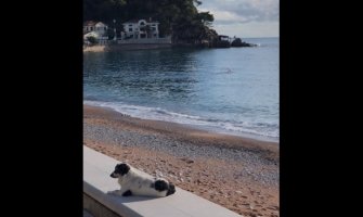 I to je decembar: Tokom vikenda kupanje u moru, sjutra snijeg na sjeveru (Video)