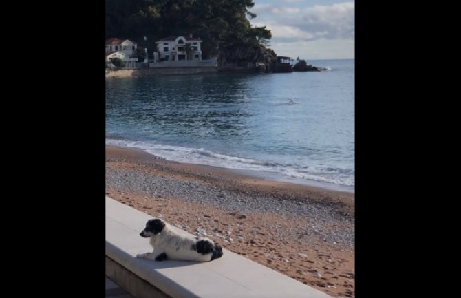 I to je decembar: Tokom vikenda kupanje u moru, sjutra snijeg na sjeveru (Video)