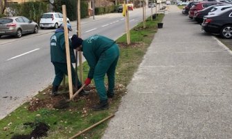 Zasađeno oko 80 sadnica na Starom Aerodromu