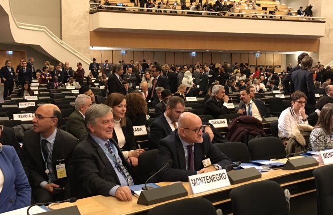  Darmanović u Ženevi:Crna Gora ostaje pouzdan partner za bolja rješenja izbjeglica