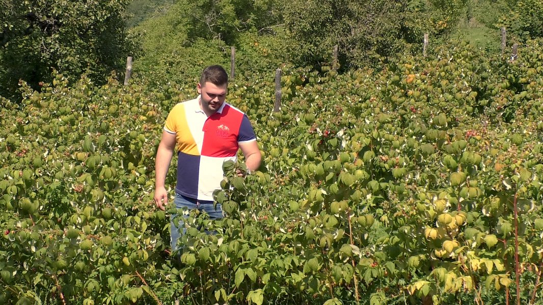 ArijanDemicnvomultimedijalmontenegro10