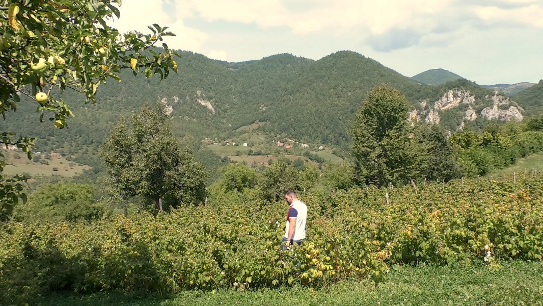 ArijanDemicnvomultimedijalmontenegro17