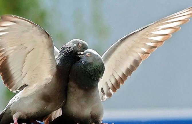 Četiri znaka horoskopa očekuje velika sreća od marta