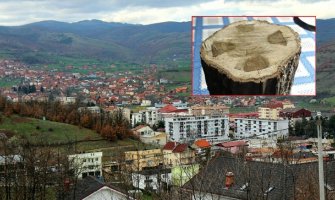 Misteriozna pojava kod Kosovske Kamenice: Pronađen krst u drvetu (FOTO)