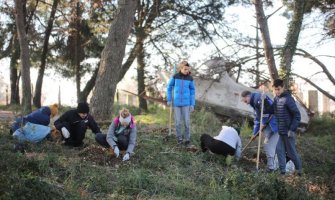 Sadnja borova u Ulcinju u organizaciju EU Info Centra i partnera