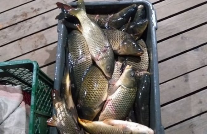 Četiri osobe zatečene u krivolovu