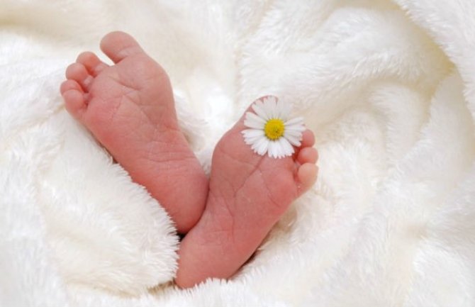 Prošle godine za vantjelesnu potrošeno više od milion eura