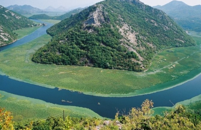 Čvrstom saradnjom svih nadležnih subjekata u cilju očuvanja ribljeg fonda NP Skadarsko jezero