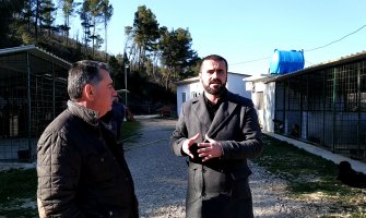 Prijatelji životinja PG: Psi u ulcinjskom azilu solidno uhranjeni 