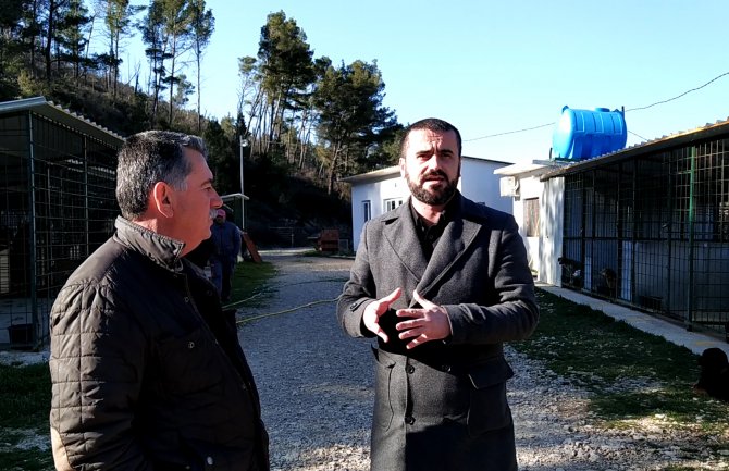 Prijatelji životinja PG: Psi u ulcinjskom azilu solidno uhranjeni 