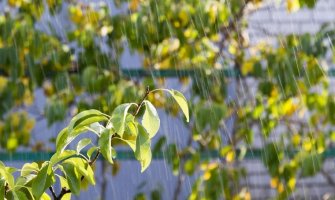 Prvog dana marta oblačno, kiša poslijepodne