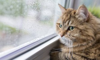 Oblačno, povremeno kiša i pljuskovi sa grmljavinom 