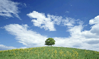 Desetine hiljada ljudi izbjeglo smrt uslijed zagađenja vazduha