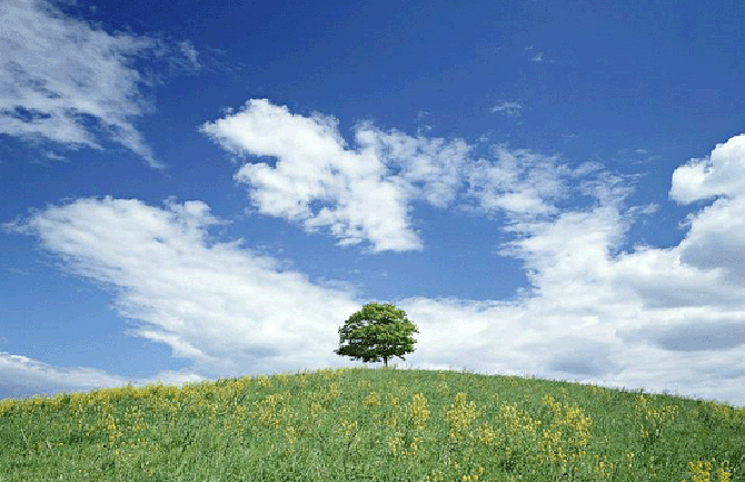 Desetine hiljada ljudi izbjeglo smrt uslijed zagađenja vazduha