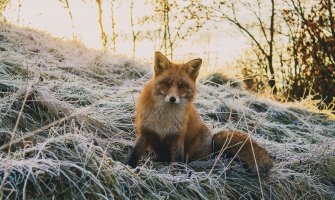 Danas djelimično sunčano, do 18 stepeni