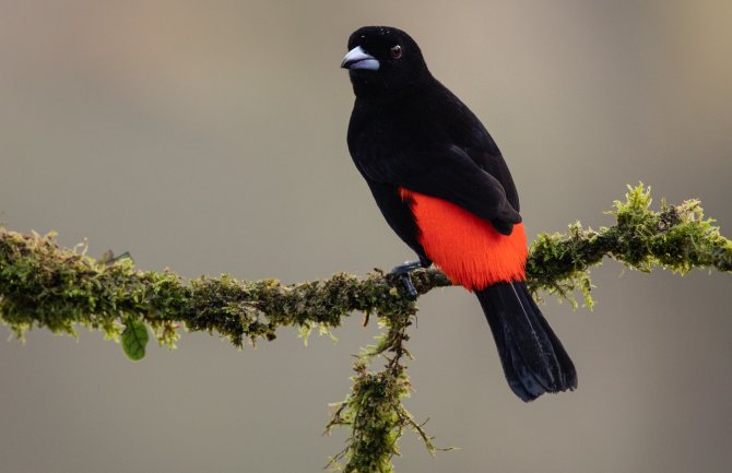 Sjutra pretežno sunčano, do 23 stepena