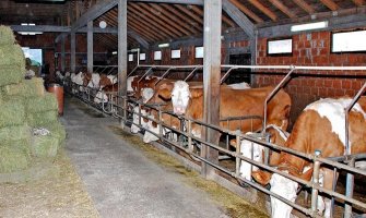 Za mlade koji žele da se bave poljoprivredom bespovratno 10.000 eura