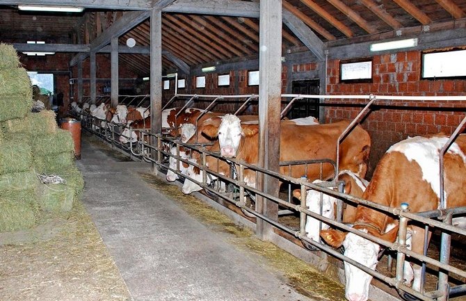 Za mlade koji žele da se bave poljoprivredom bespovratno 10.000 eura